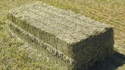 QUADRANT 4000 QUADRANT 4000