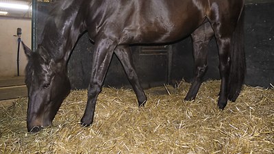 QUADRANT 4000 QUADRANT 4000