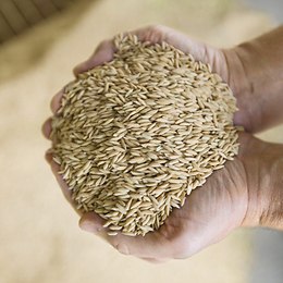 Outils frontaux Outils frontaux