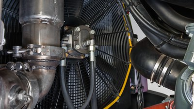 TORION SINUS TORION SINUS