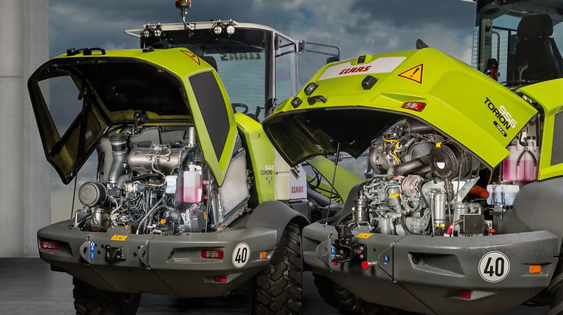 TORION SINUS TORION SINUS