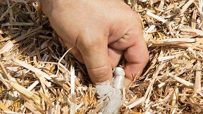 QUADRANT 4200 QUADRANT 4200